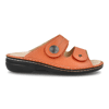 604246 mandarin/nube