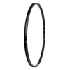 NoColour
