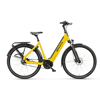 Broom Yellow Matte