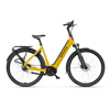 Broom Yellow Matte
