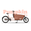 Pumpkin Pie
