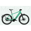 012 Mint Glossy