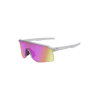 Light Grey Transparent Polycarbonate