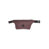 4555-Raisin