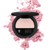 Rose fush