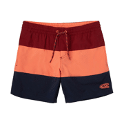 O'neill - PB Block Shorts Kids