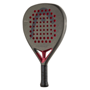 Head - Coello Motion 2026 