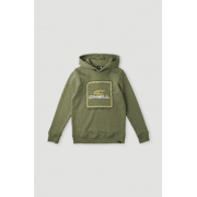O'Neill - All Year Hoodie 