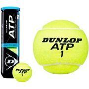 Dunlop - ATP Championship 4PET tennisballen 