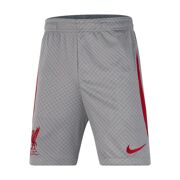 Nike - Dri-FIT Knit Soccer Shorts Liverpool FC Strike Netto 