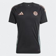 Adidas - FCB TR Jersey - Bayern Munchen - Shirt - netto
