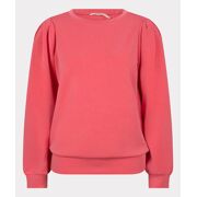 Esqualo - Sweater R-Neck Modal