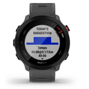 Garmin - Forerunner® 55 Monterra Grey