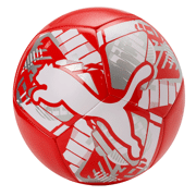 Puma - BIG CAT ball
