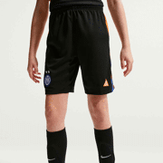 Nike - Inter Milan 2026 Stadium SE Big Kids' Nike ACG Dri-FIT Soccer Replica Shorts Netto