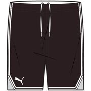 Puma - Hoops Team Wmns game short 