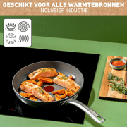 C4240253 TEFAL PAN 20CM