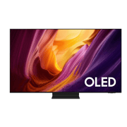 QE48S95H Oled televisie