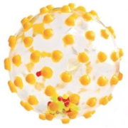 Doorzichtige speelbal - JBM 30069