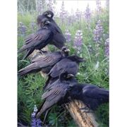Puzzel Raven Rendezvous 1000 stuks - COB 5880252
