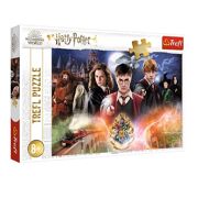 Puzzel 300 stuks The Secret Harry Potter / Warner Harry Potter - TREFL 31523001