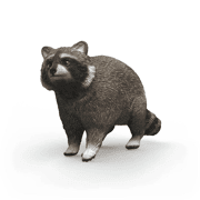 Schleich Wasbeer - SCHLEICH 14937