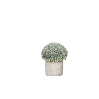  CONCRETE JUNGLE - plante artificielle en pot - ciment / synthétique - DIA 12 x H 14 cm