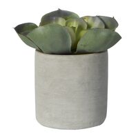  CONCRETE JUNGLE - plante artificielle en pot - ciment / synthétique - DIA 11 x H 14 cm