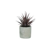  CONCRETE JUNGLE - artificiële plant / paars  - kunststof / cement - DIA 8 x H 16 cm - groen