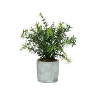  CONCRETE JUNGLE - artificiële plant - kunststof / cement - DIA 11 x H 23.5 cm - groen