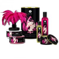Caresses & Romance pink edition set