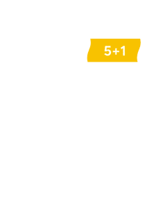 5+1