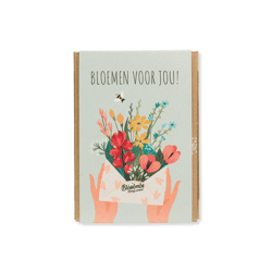 Giftbox met 4 zaadbommen Mini - Bloemen voor jou / Blossombs