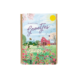 Giftbox met 4 zaadbommetjes mini - Kleurrijke groetjes / Blossombs