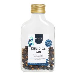 Zakflacon-mini Kruidige gin / Pineut