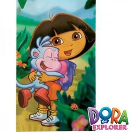 Dora The Explorer - treat bags
