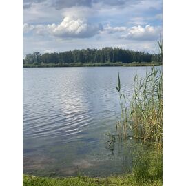 Zaterdag 28/09: Wijerswandeling met een zoete afsluiter