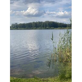 zondag 29/09   Wijerswandeling met een zoete afsluiter