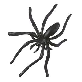 spider rings
