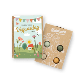 Giftbox met 4 zaadbommen mini - Bloemen voor je verjaardag / Blossombs