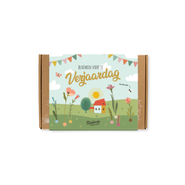 Giftbox met 7 zaadbommetjes Small - Bloemen voor je verjaardag / Blossombs