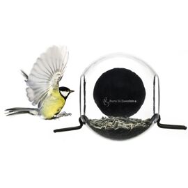 Birdfeeder / Born in Sweden
