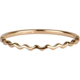 Ring Petite wave gold / Charmin's