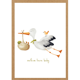 Postkaart Welkom lieve baby
