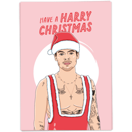 Postkaart Have a harry Christmas / Kaart Blanche  