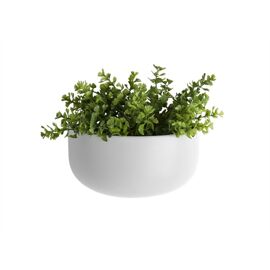 Hangpot muur Oval/wide Present Time