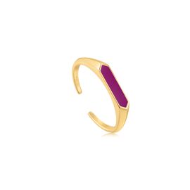 Berry enamel bar gold adjustable ring / Ania Haie