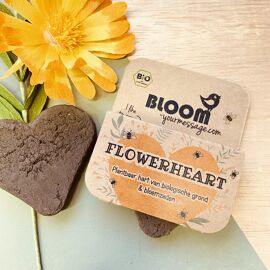 Flowerheart / Bloom Your Message