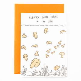 Postkaart Plenty more dicks in the sea / Studio Flash