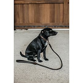 Dyon Braided Leash